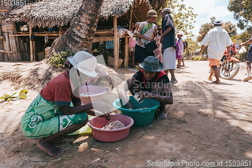 Image of Native Malagasy women sorting catch from sea, Madagascar