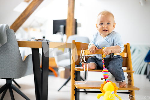 Image of Happy infant sitting and playing with his toy in traditional scandinavian designer wooden high chair in modern bright atic home. Cute baby.