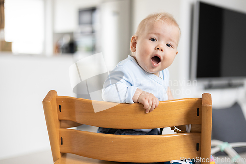 Image of Happy infant sitting in traditional scandinavian designer wooden high chair in modern bright home. Cute baby.