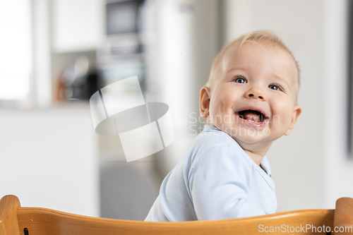 Image of Happy infant sitting in traditional scandinavian designer wooden high chair and laughing out loud in modern bright home. Cute baby smile.