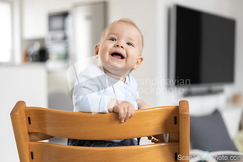 Image of Happy infant sitting in traditional scandinavian designer wooden high chair and laughing out loud in modern bright home. Cute baby smile.