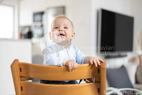 Image of Happy infant sitting in traditional scandinavian designer wooden high chair and laughing out loud in modern bright home. Cute baby smile.