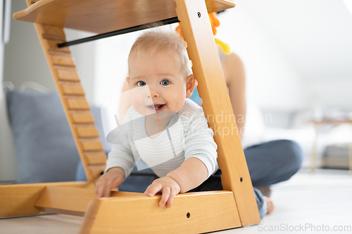 Image of Happy infant climbing under traditional scandinavian designer wooden high chair and in modern bright home. Cute baby smiling in camera