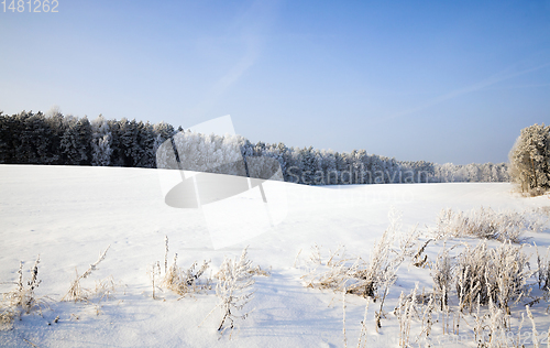 Image of winter landscape with snow