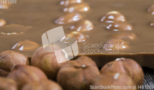 Image of hazelnuts in chocolate