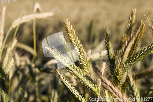 Image of agricultural fields eastern Europe