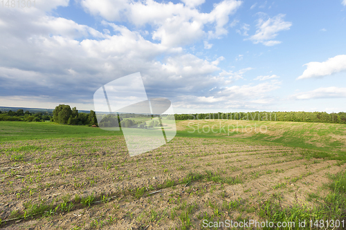 Image of agricultural field