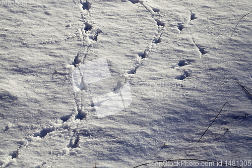 Image of snow with traces