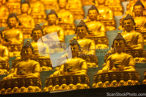 Image of Buddha Sakyamuni statues