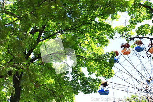 Image of ferris wheel in the park