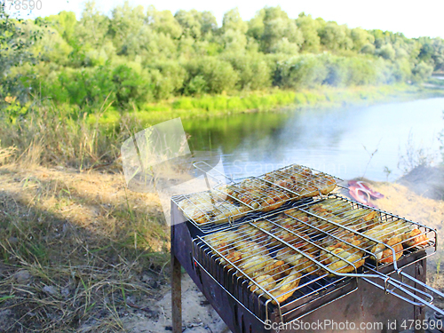 Image of barbecue from hen's meat cooked in the nature