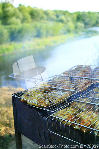 Image of barbecue from hen's meat cooked in the nature