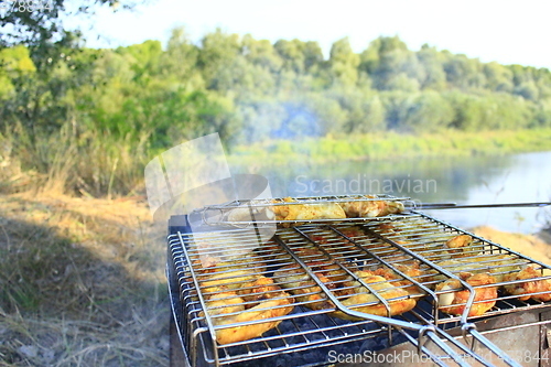 Image of barbecue from hen's meat cooked in the nature