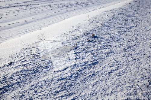 Image of dry grass in the snow-covered rural field - dry grass in the snow-covered rural field. Photographed close up.