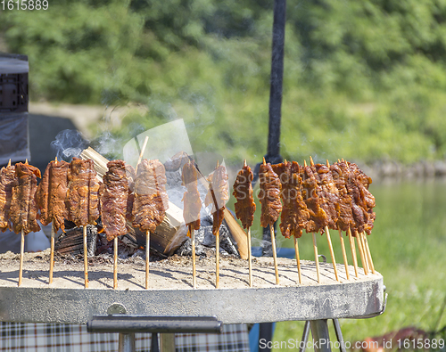 Image of outdoor barbecue scenery