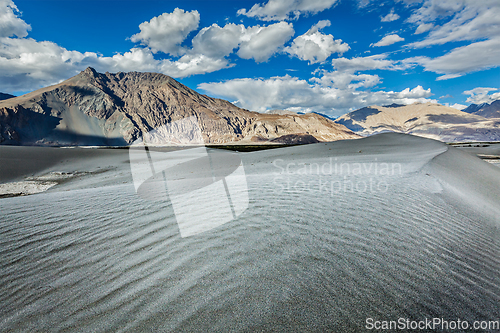 Image of Sand dunes. Nubra valley, Ladakh, India