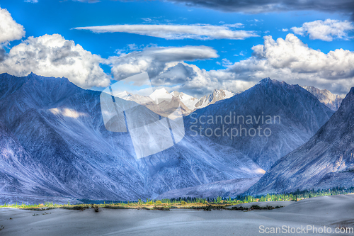 Image of Sand dunes. Nubra valley, Ladakh, India