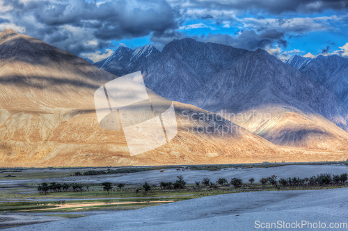 Image of Sand dunes. Nubra valley, Ladakh, India