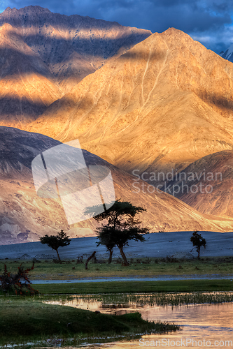 Image of Nubra river in valley, Himalayas