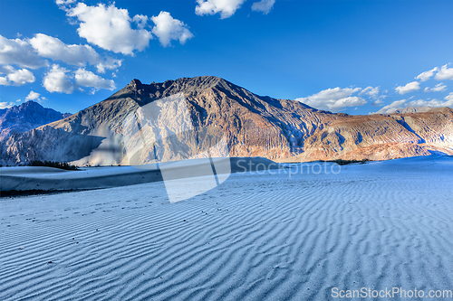 Image of Dunes in Nubra Valley, Ladakh, India