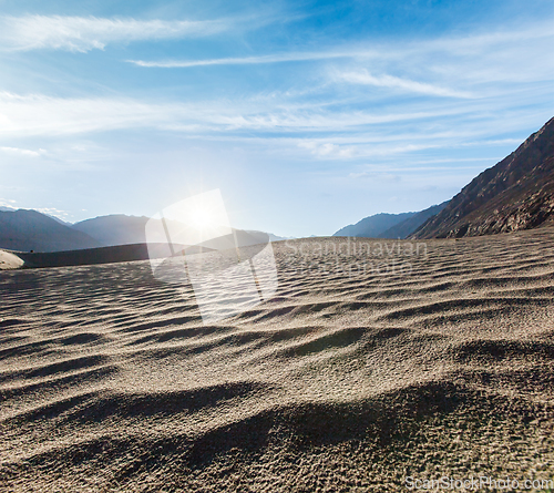 Image of Sand dunes. Nubra valley, Ladakh, India