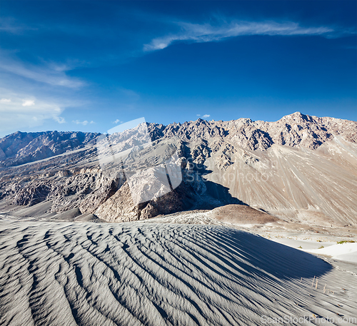 Image of Sand dunes. Nubra valley, Ladakh, India