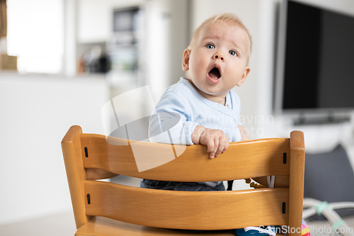 Image of Happy infant sitting in traditional scandinavian designer wooden high chair in modern bright home. Cute baby.