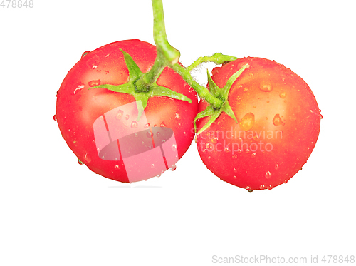 Image of two red tomatoes isolated