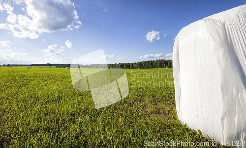 Image of agricultural field