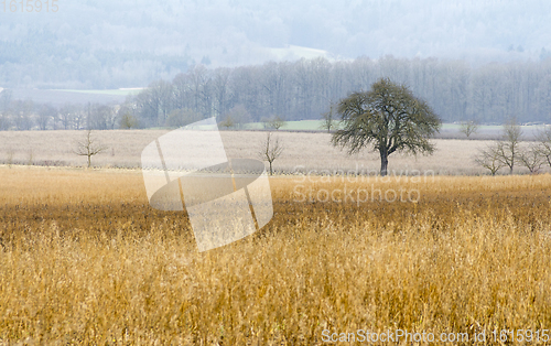 Image of rural landscape at early spring time