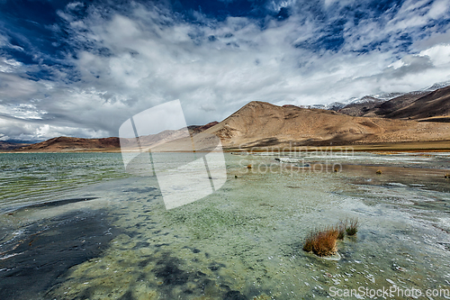 Image of Mountain lake Tso Kar in Himalayas