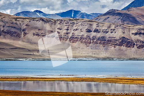 Image of Mountain lake Tso Kar in Himalayas
