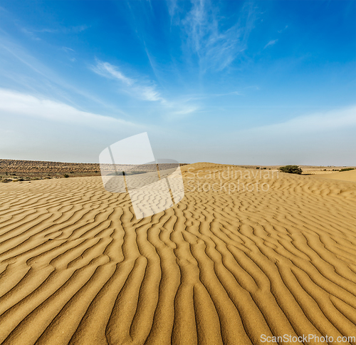 Image of Dunes of Thar Desert, Rajasthan, India