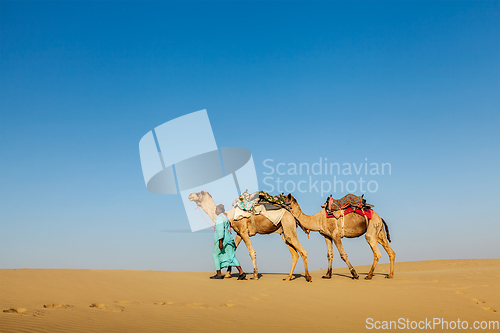 Image of Cameleer (camel driver) with camels in Rajasthan, India