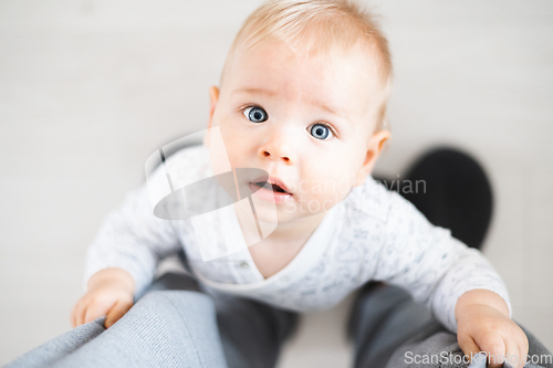 Image of Top down view of cheerful baby boy infant taking first steps holding to father's sweatpants at home. Cute baby boy learning to walk