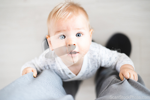 Image of Top down view of cheerful baby boy infant taking first steps holding to father's sweatpants at home. Cute baby boy learning to walk