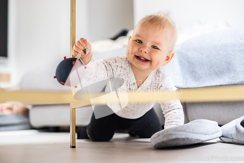 Image of Cute infant baby boy playing with hanging ball, crawling and standing up by living room table at home. Baby activity and play center for early infant development. Baby playing at home.