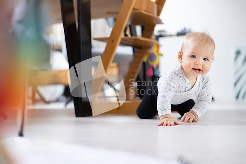 Image of Cute infant baby boy crawling under dining room table at home. Baby playing at home