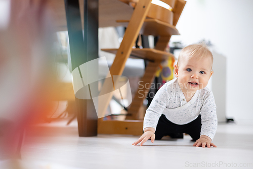 Image of Cute infant baby boy crawling under dining room table at home. Baby playing at home