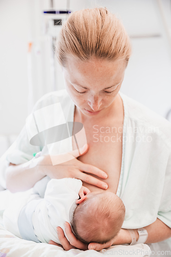 Image of New mother carefully breastfeeds her newborn baby boy in hospital a day after labour.