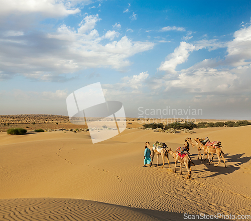 Image of Two cameleers (camel drivers) with camels in dunes of Thar deser