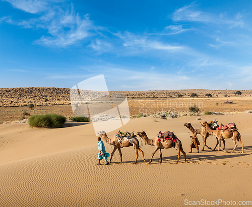 Image of Two cameleers with camels in dunes of Thar deser