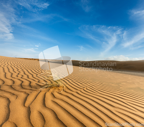 Image of Dunes of Thar Desert, Rajasthan, India