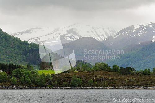 Image of snow-capped mountains with green trees and green fields