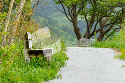 Image of bench by footpath between trees