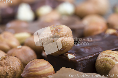 Image of hazelnuts inside chocolate