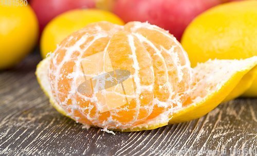 Image of large group of winter citrus