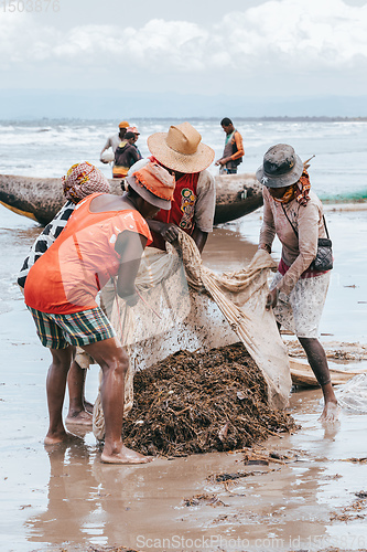 Image of Native Malagasy fishermen fishing on sea, Madagascar