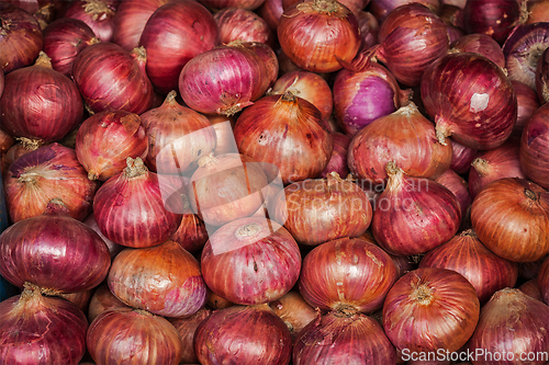 Image of Onion background