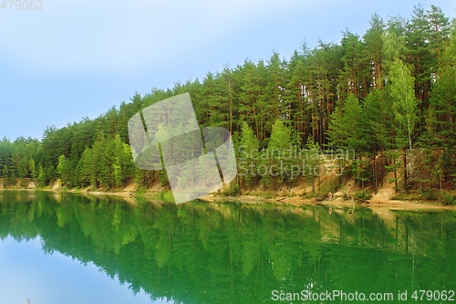 Image of lake in the forest